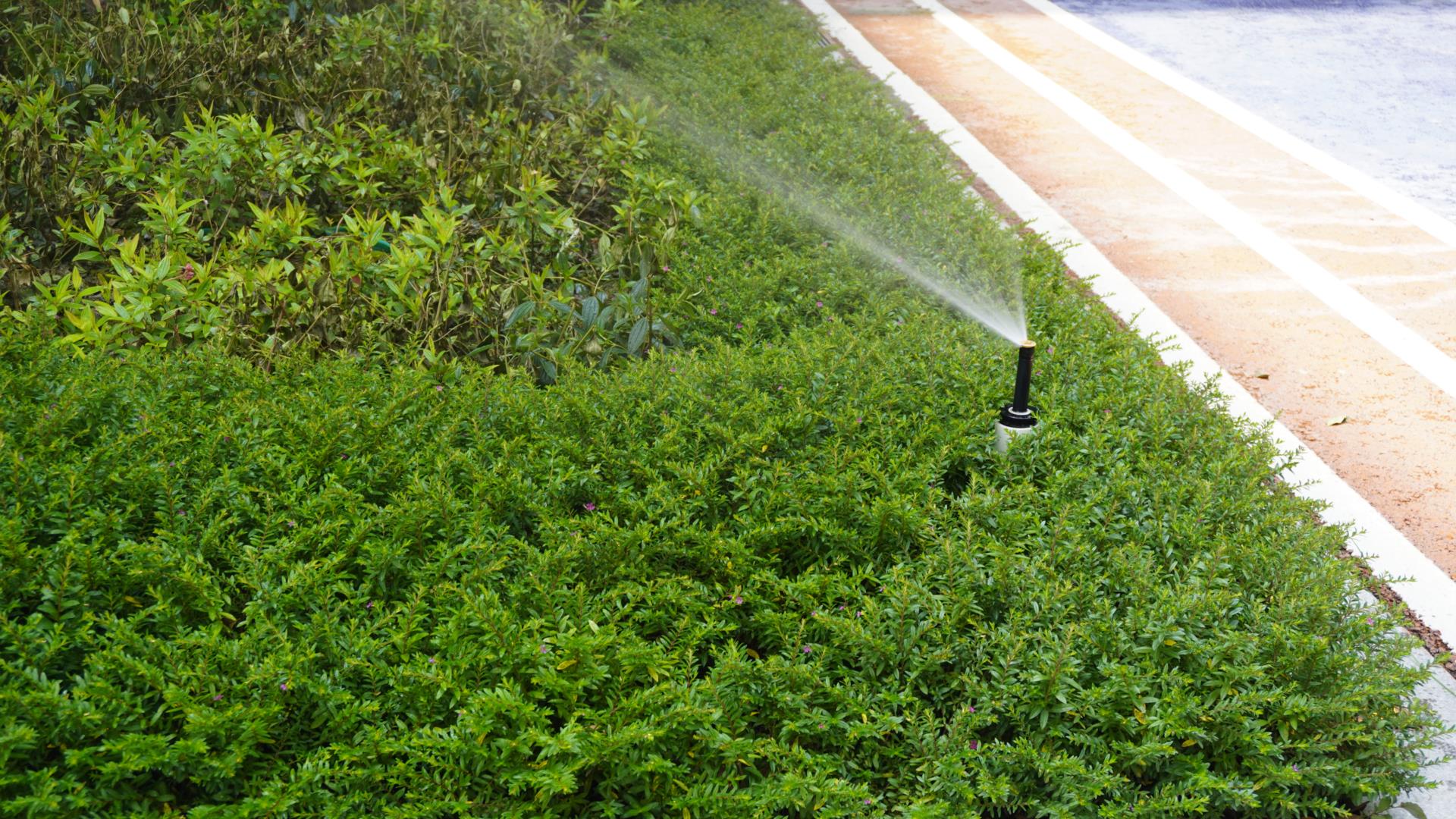 模塊雨水回用系統(tǒng)與機(jī)房雨水回用系統(tǒng)的特點(diǎn)